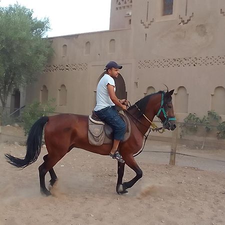 Kasbah Dar Dmana Hotel Skoura Ngoại thất bức ảnh