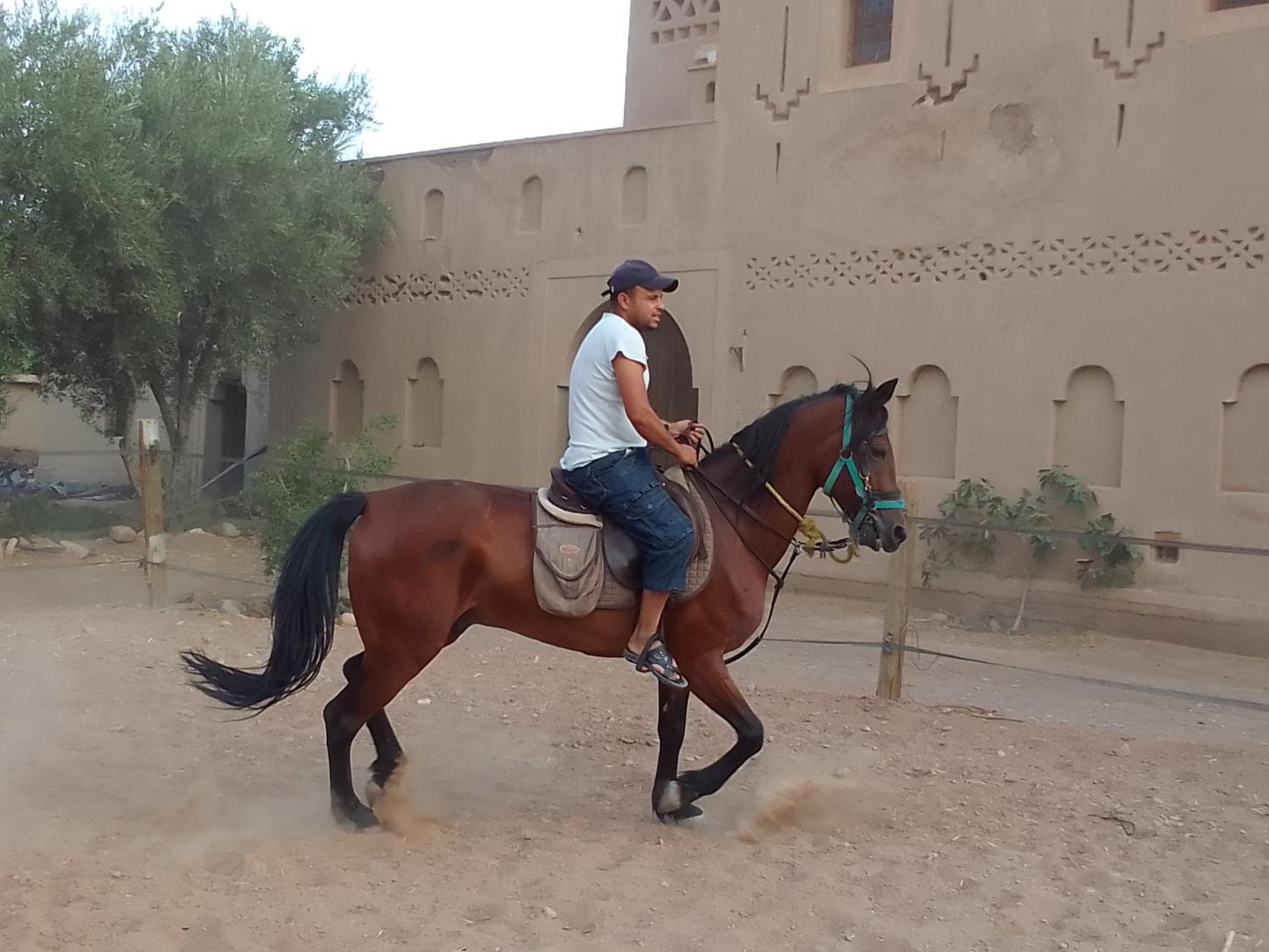 Kasbah Dar Dmana Hotel Skoura Ngoại thất bức ảnh